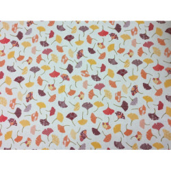 Coton Ginko par 10 cm